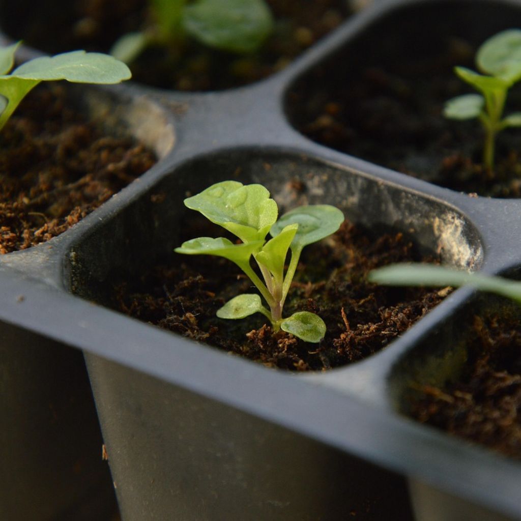 Návrh bez názvu (85)